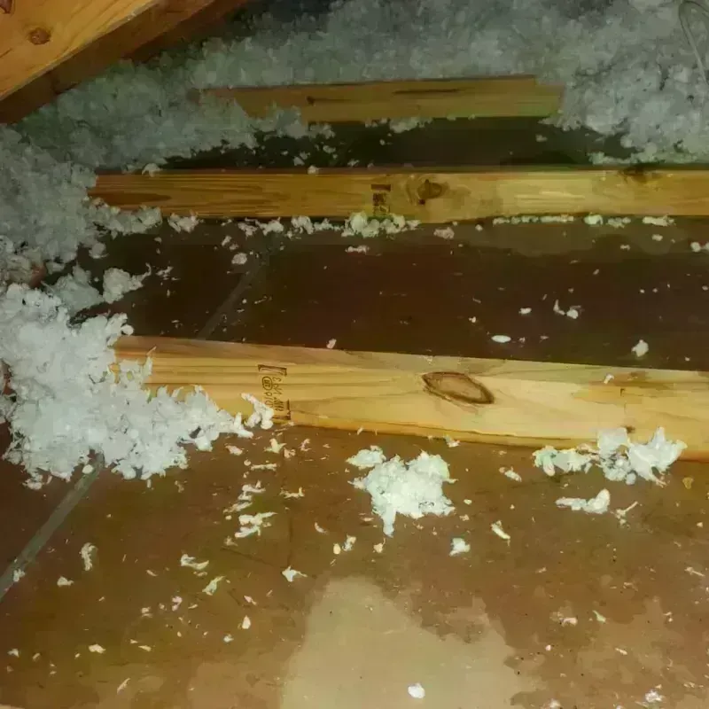 Attic Water Damage in Big Coppitt Key, FL